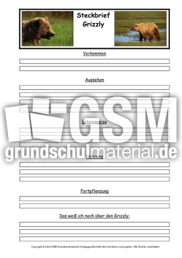 Grizzly-Steckbriefvorlage.pdf